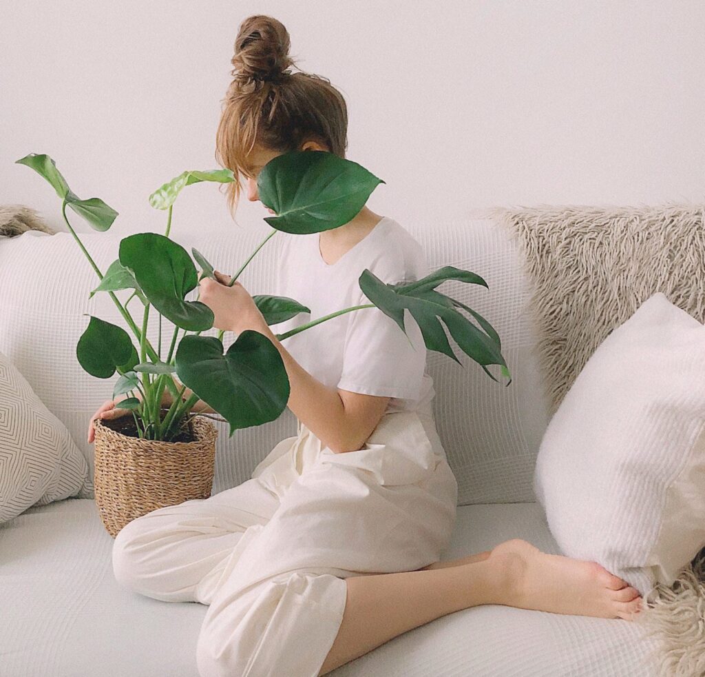 best herbs for sleep