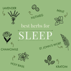 graphic herbs for sleep 