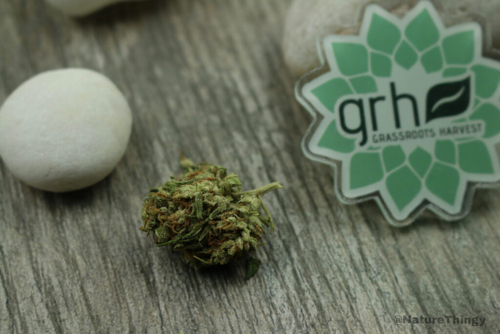 CBD flower in texas buy hemp flower in texas