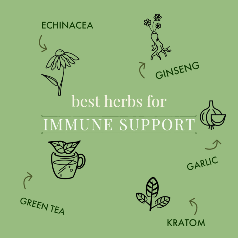 best herbs for immune system, best herbs immune support, best immune boosting herbs, grassroots harvest, infographic, best herbs info, blog