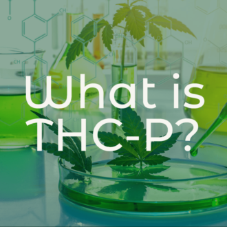 what is thc-p, thcp, cannabis compound, cannabinoid, thcp bible, thcp guide