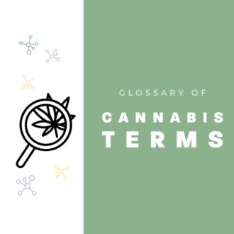 glossary of cannabis terms, cannabis lingo, hemp lingo, hemp words, hemp terms, cannabis terms, glossary, cbd