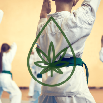 karate and cbd, cbd and martial arts, hemp and martial arts, cbd for martial arts, martial arts, karate, judo, grh