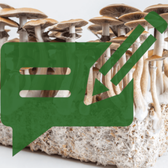 psilocybin mushrooms, what are psilocybin mushrooms, shrooms, grh, grassroots harvest, blog