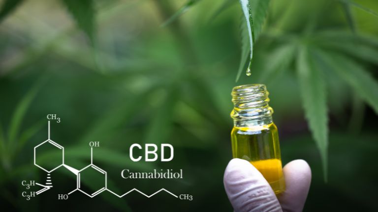 How Quickly Do You See Results With CBD Oil?-read more on grh blog