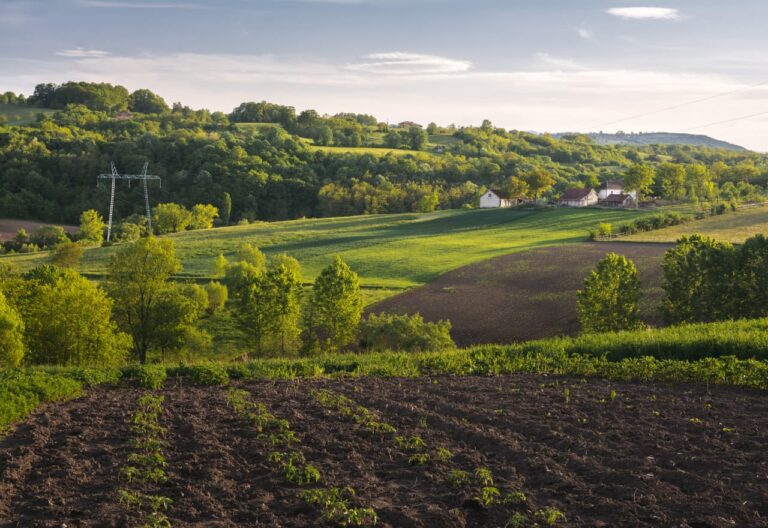 Thumbnail image Possible Updates to the Farm Bill 2024 Lawmakers Consider Banning THC Cannabis Products in Grassroots Harvest